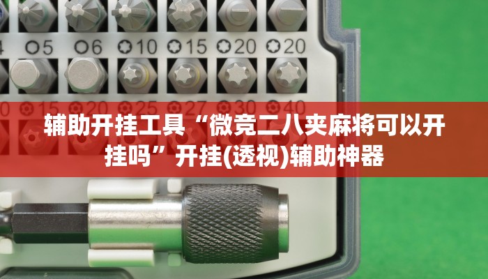 辅助开挂工具“微竞二八夹麻将可以开挂吗”开挂(透视)辅助神器