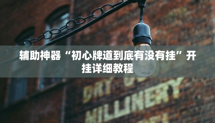 辅助神器“初心牌道到底有没有挂”开挂详细教程