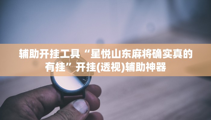 辅助开挂工具“星悦山东麻将确实真的有挂”开挂(透视)辅助神器