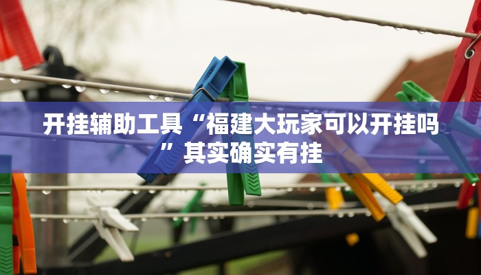 开挂辅助工具“福建大玩家可以开挂吗”其实确实有挂