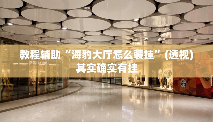 教程辅助“海豹大厅怎么装挂”(透视)其实确实有挂