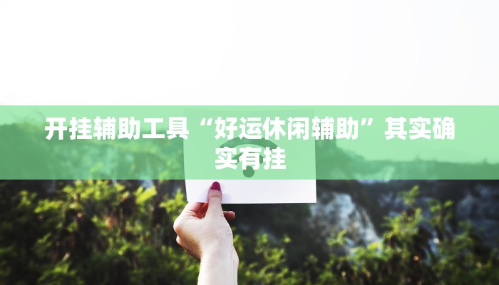 开挂辅助工具“好运休闲辅助”其实确实有挂