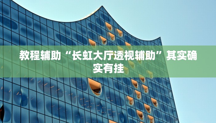 教程辅助“长虹大厅透视辅助”其实确实有挂