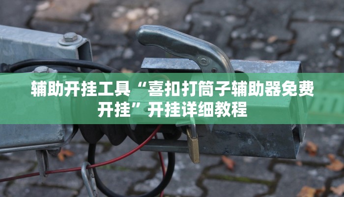 辅助开挂工具“喜扣打筒子辅助器免费开挂”开挂详细教程