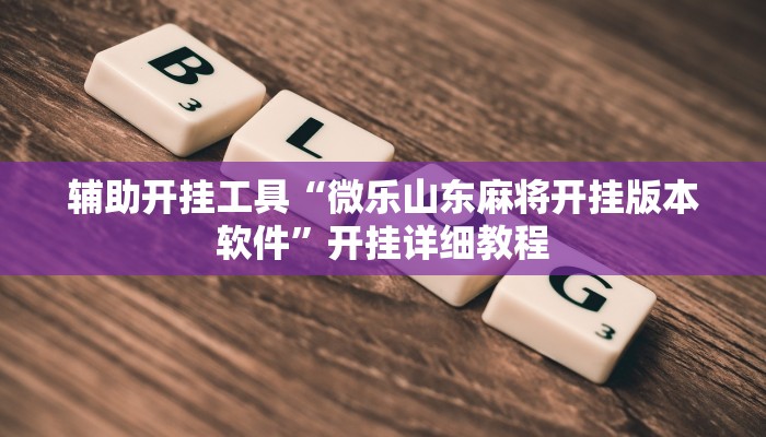 辅助开挂工具“微乐山东麻将开挂版本软件”开挂详细教程