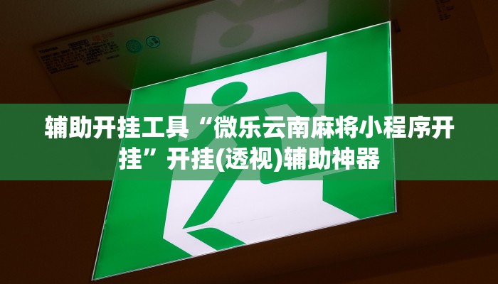 辅助开挂工具“微乐云南麻将小程序开挂”开挂(透视)辅助神器