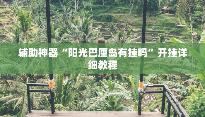 辅助神器“阳光巴厘岛有挂吗”开挂详细教程