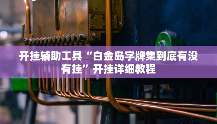 开挂辅助工具“白金岛字牌集到底有没有挂”开挂详细教程