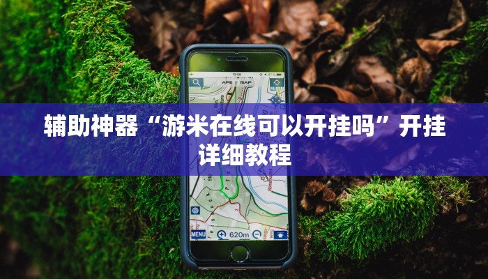 辅助神器“游米在线可以开挂吗”开挂详细教程