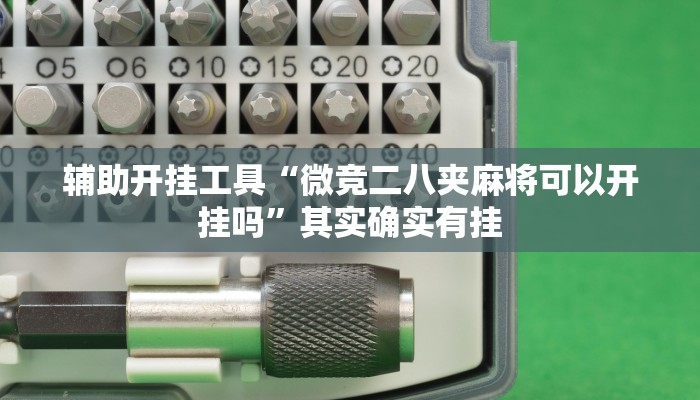 辅助开挂工具“微竞二八夹麻将可以开挂吗”其实确实有挂