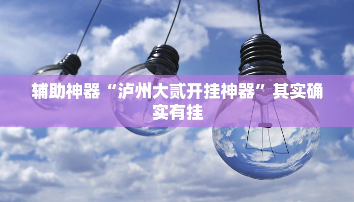 辅助神器“泸州大贰开挂神器”其实确实有挂