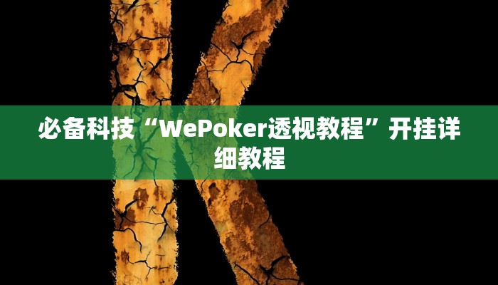 必备科技“WePoker透视教程”开挂详细教程