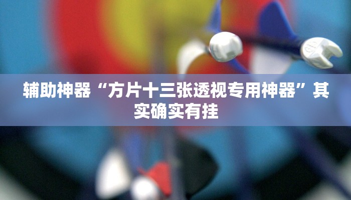 辅助神器“方片十三张透视专用神器”其实确实有挂