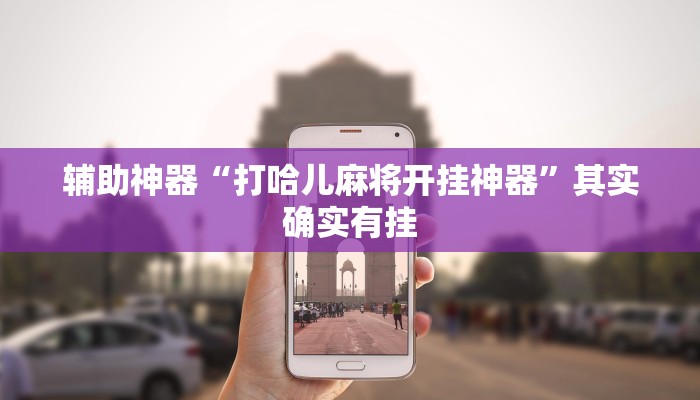 辅助神器“打哈儿麻将开挂神器”其实确实有挂