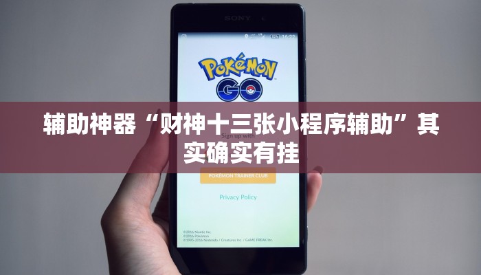 辅助神器“财神十三张小程序辅助”其实确实有挂