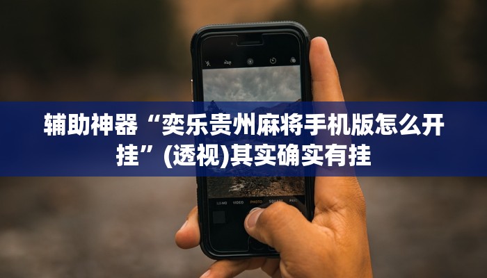 辅助神器“奕乐贵州麻将手机版怎么开挂”(透视)其实确实有挂