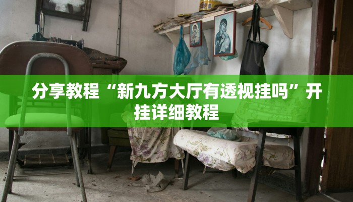 分享教程“新九方大厅有透视挂吗”开挂详细教程