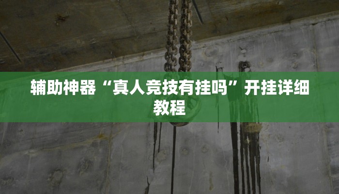 辅助神器“真人竞技有挂吗”开挂详细教程