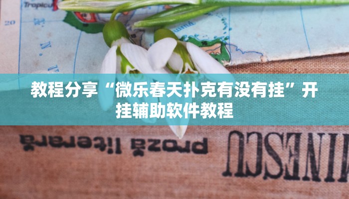 教程分享“微乐春天扑克有没有挂”开挂辅助软件教程