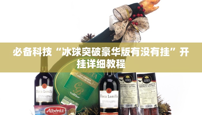 必备科技“冰球突破豪华版有没有挂”开挂详细教程