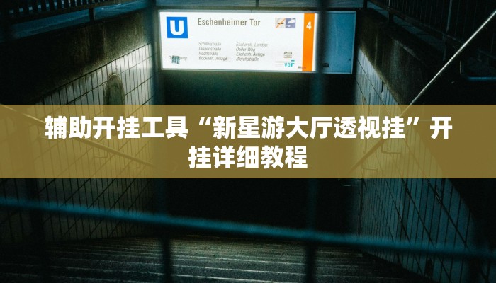 辅助开挂工具“新星游大厅透视挂”开挂详细教程