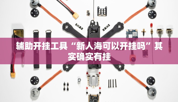 辅助开挂工具“新人海可以开挂吗”其实确实有挂