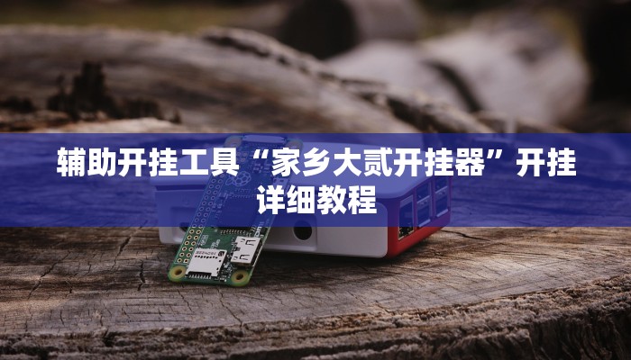 辅助开挂工具“家乡大贰开挂器”开挂详细教程