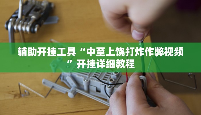 辅助开挂工具“中至上饶打炸作弊视频”开挂详细教程