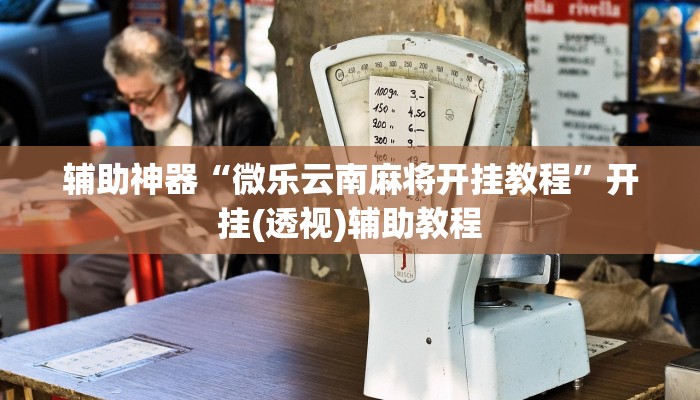 辅助神器“微乐云南麻将开挂教程”开挂(透视)辅助教程