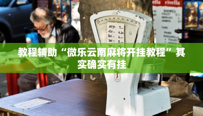 教程辅助“微乐云南麻将开挂教程”其实确实有挂