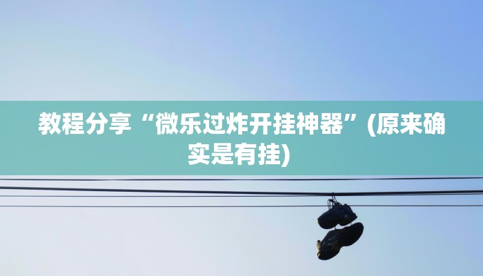 教程分享“微乐过炸开挂神器”(原来确实是有挂) 