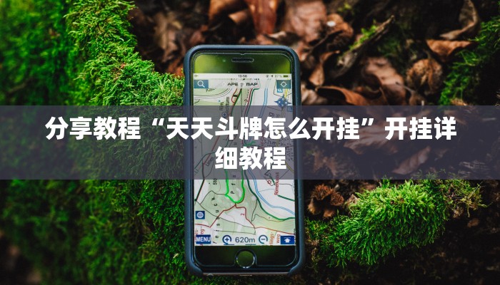 分享教程“天天斗牌怎么开挂”开挂详细教程