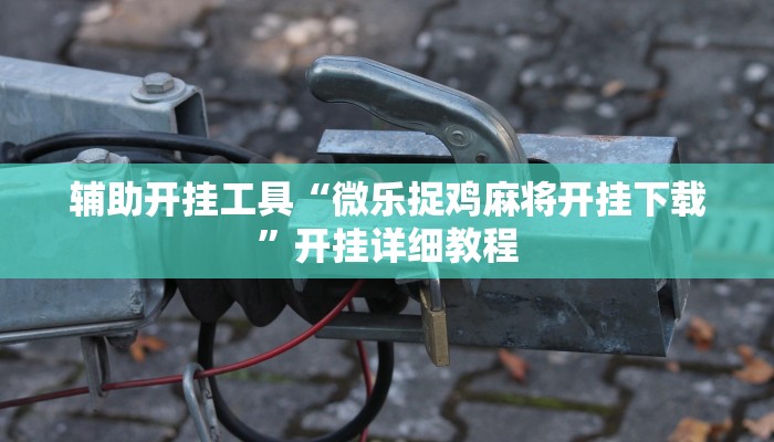 辅助开挂工具“微乐捉鸡麻将开挂下载”开挂详细教程