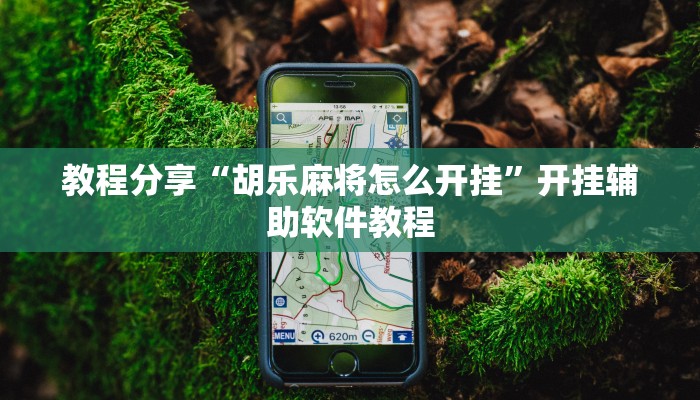 教程分享“胡乐麻将怎么开挂”开挂辅助软件教程