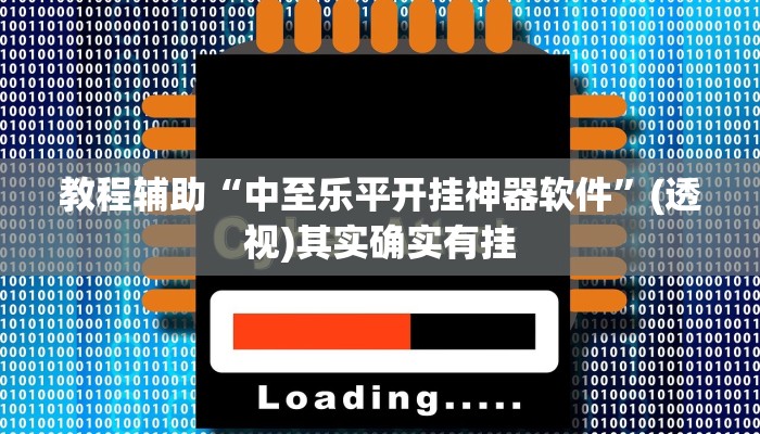 教程辅助“中至乐平开挂神器软件”(透视)其实确实有挂