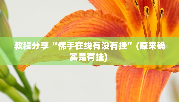 教程分享“佛手在线有没有挂”(原来确实是有挂) 