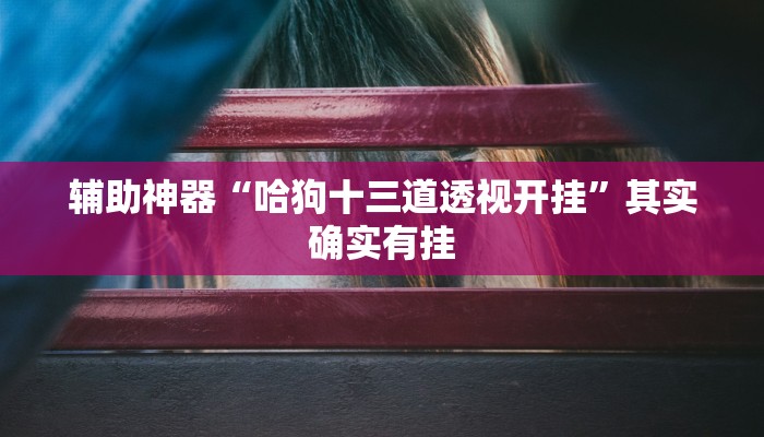 辅助神器“哈狗十三道透视开挂”其实确实有挂