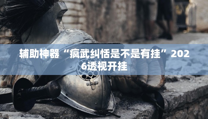 辅助神器“疯武纠恬是不是有挂”2026透视开挂