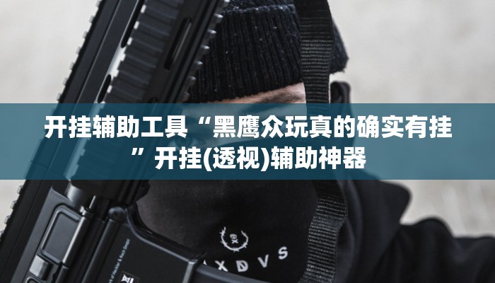 开挂辅助工具“黑鹰众玩真的确实有挂”开挂(透视)辅助神器