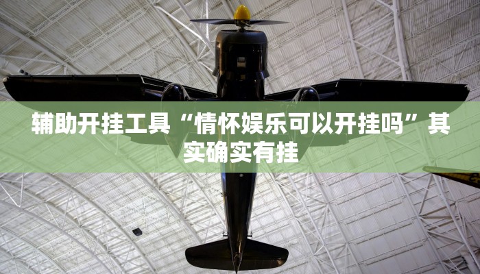 辅助开挂工具“情怀娱乐可以开挂吗”其实确实有挂