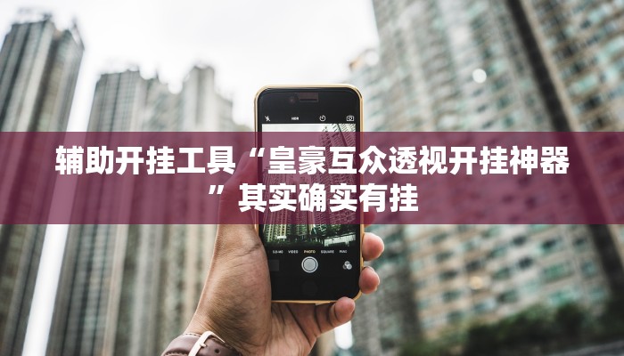 辅助开挂工具“皇豪互众透视开挂神器”其实确实有挂