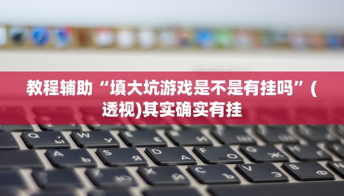 教程辅助“填大坑游戏是不是有挂吗”(透视)其实确实有挂