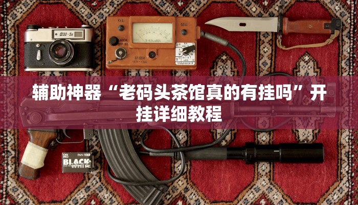 辅助神器“老码头茶馆真的有挂吗”开挂详细教程