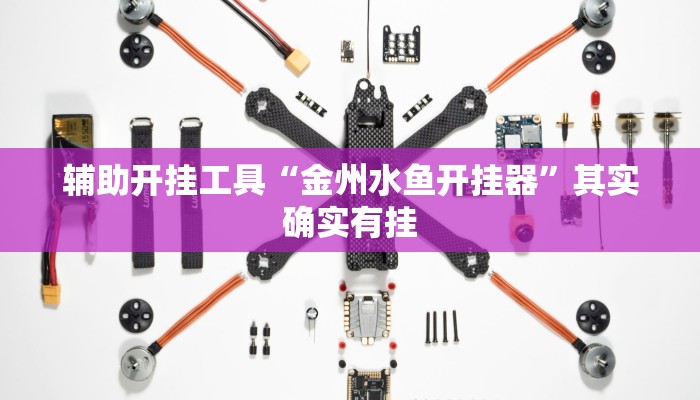 辅助开挂工具“金州水鱼开挂器”其实确实有挂