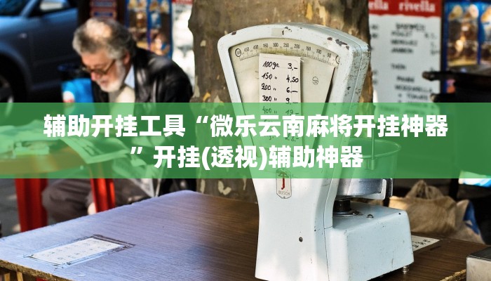 辅助开挂工具“微乐云南麻将开挂神器”开挂(透视)辅助神器