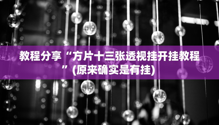 教程分享“方片十三张透视挂开挂教程”(原来确实是有挂) 