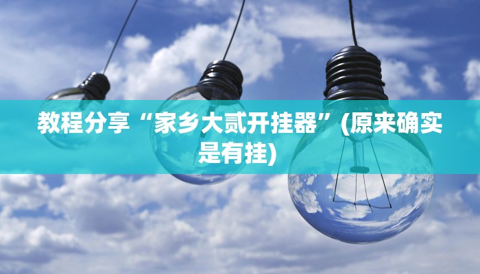 教程分享“家乡大贰开挂器”(原来确实是有挂) 