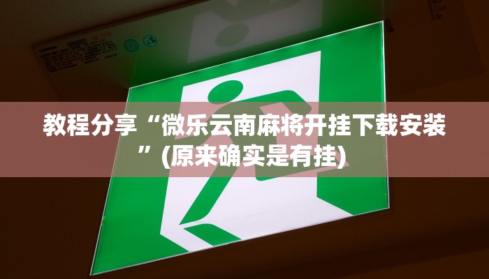 教程分享“微乐云南麻将开挂下载安装”(原来确实是有挂) 