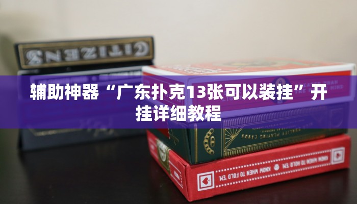 辅助神器“广东扑克13张可以装挂”开挂详细教程