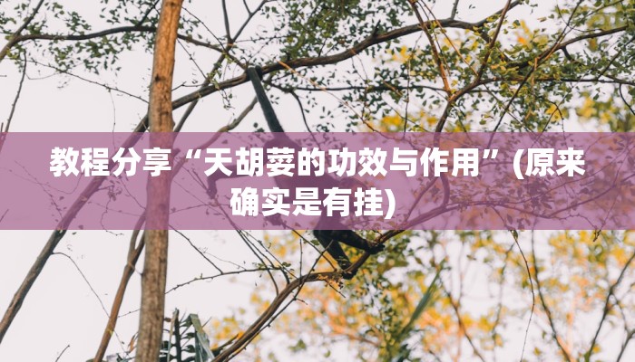 教程分享“天胡荽的功效与作用”(原来确实是有挂) 